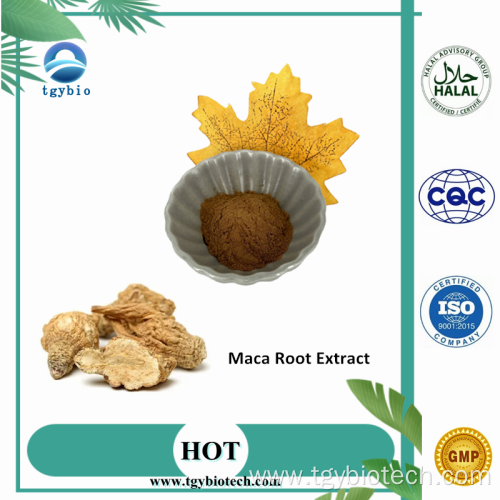 Hot Sale 100% 10:1 20:1 Maca Root Extract
